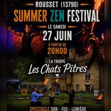 Show les Chats Pitres - feu son lumière