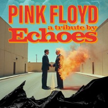 WISH YOU WERE HERE 50 - ECHOES A TRIBUTE