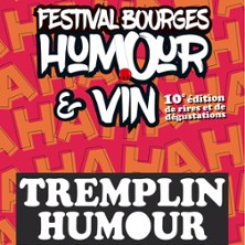 Tremplin Humour - Festival Bourges Humour et Vin
