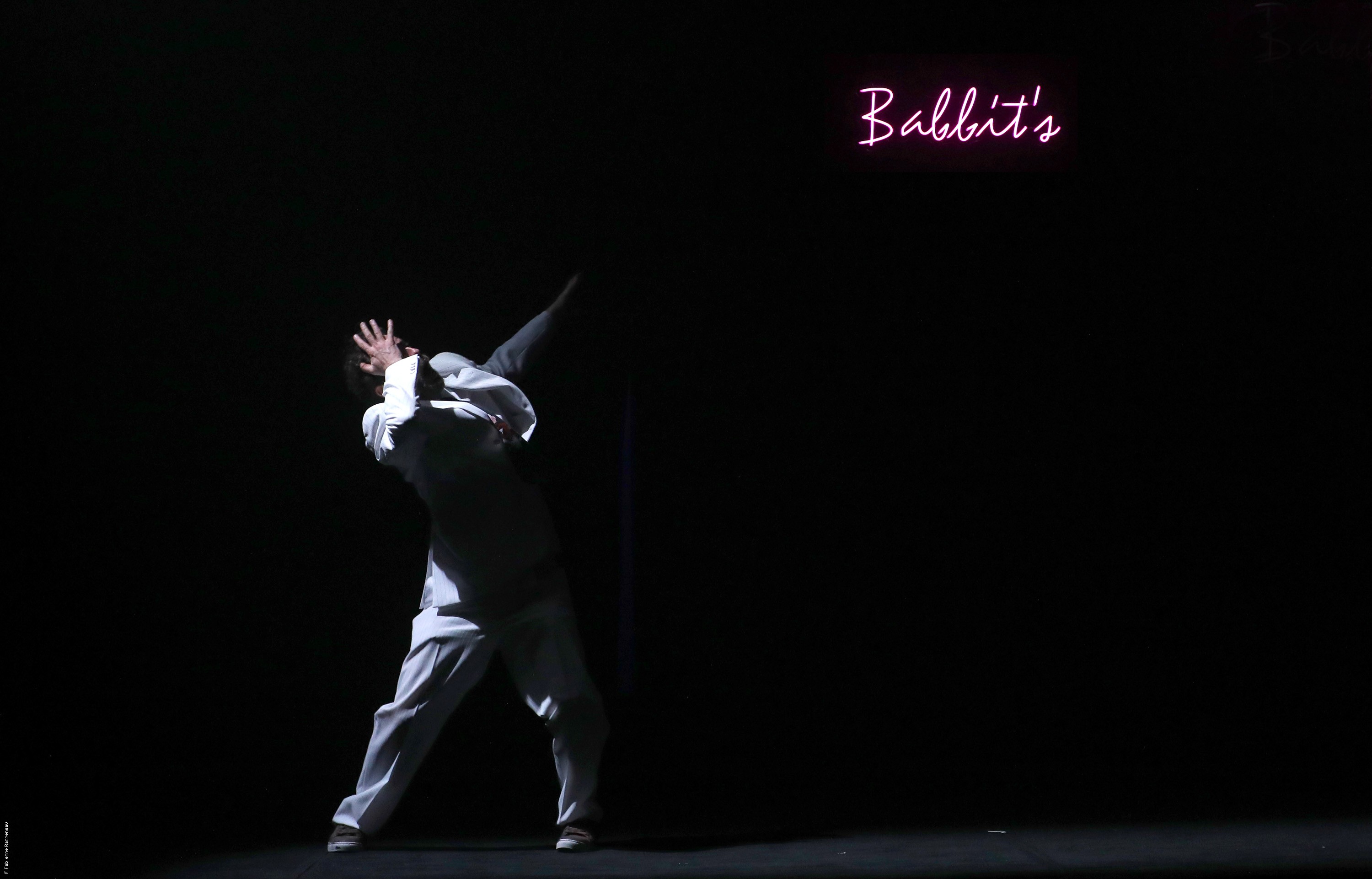 &copy; Fabienne Rappeneau 