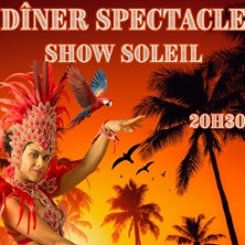 Show Soleil - Dîner Spectacle