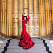 Noche de Arte Flamenco