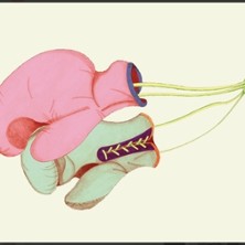 Des Hommes Endormis - Th&eacute;&acirc;tre de l'Ath&eacute;n&eacute;e, paris