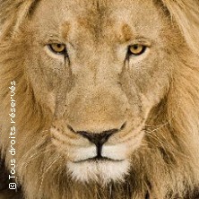 PARC DE L'AUXOIS ARNAY SOUS VITTEAUX