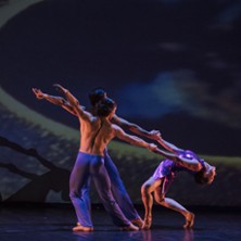 Ballets - Compagnie Acontretemps