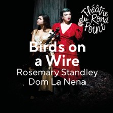 BIRDS ON A WIRE Rosemary Standley - Dom La Nena