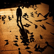 Le Petit Gar&ccedil;on avec une Ombre d&rsquo;Oiseau