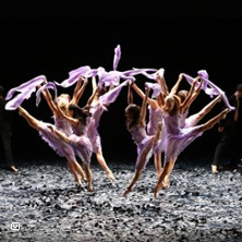 Malandain Ballet Biarritz - L'Amour Sorcier et Don Quichotte