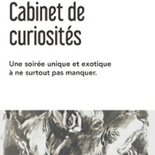 Cabinet de curiosités