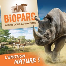 Bioparc Zoo de Doué-Lafontaine