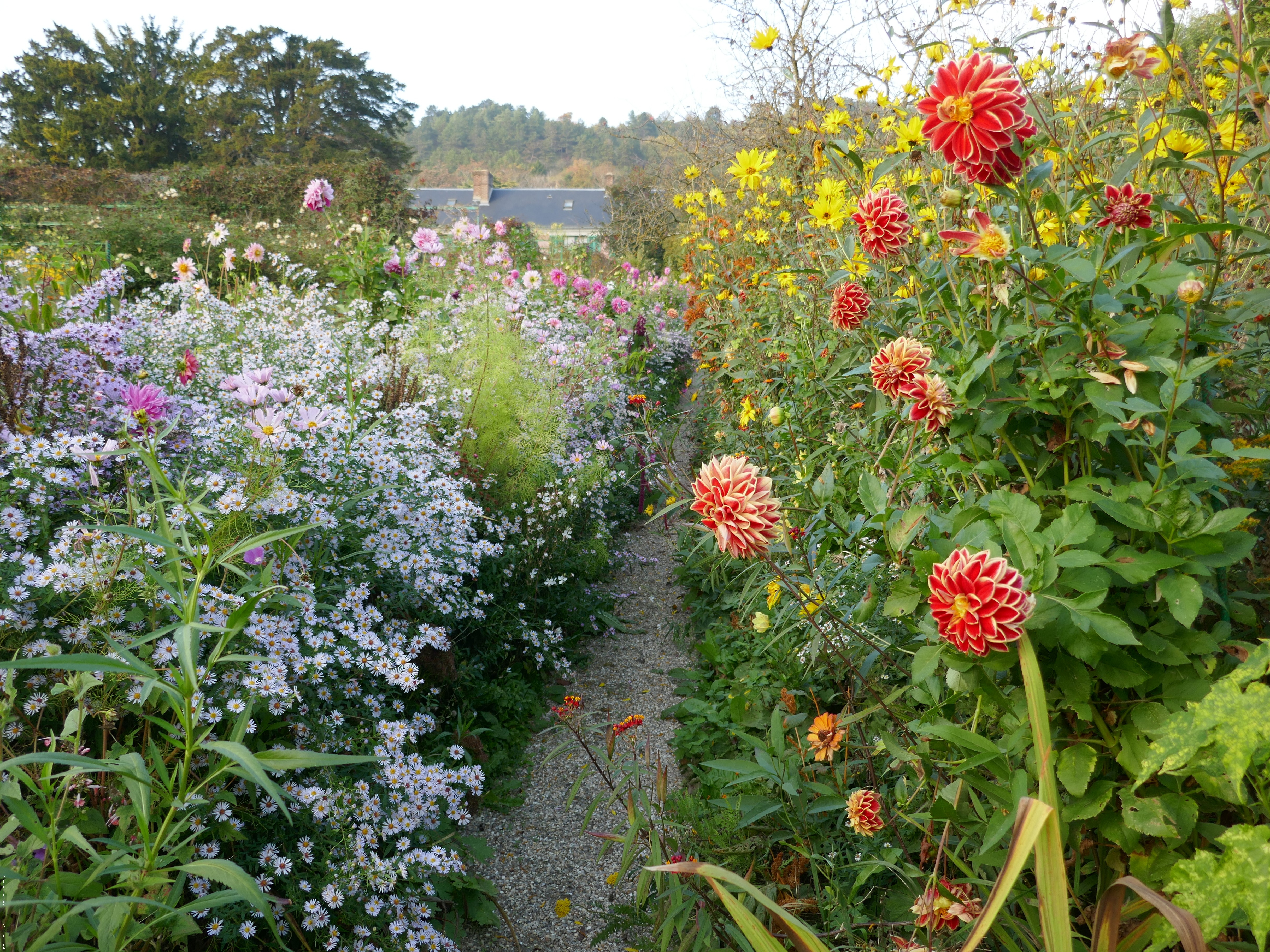 Jardins de Claude Monet - Giverny