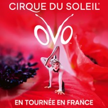 Cirque du Soleil