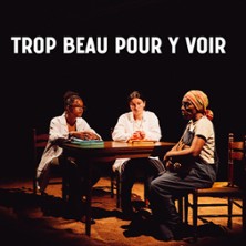 Trop beau pour y voir