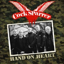 COCK SPARRER