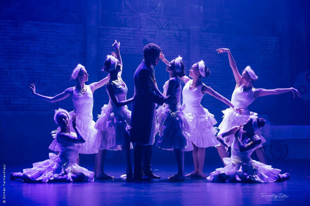 Black Swan - Le 13e Art