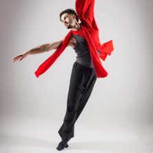 Les 4 Saisons, Le Ballet - Cie Choryphée