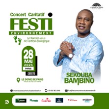 Festi Environnement - Concert Caritatif