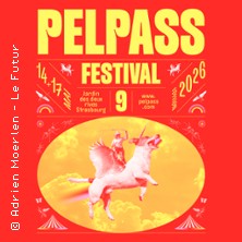Pelpass Festival #9