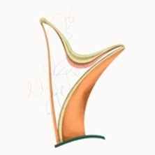 Les Lundis Musicaux : Laurence Kilsby & Ella O'Neill  - Théâtre de l'Athénée, Paris