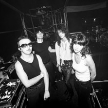 Dynamite Shakers