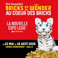 Bricks of Wonder - Au Coeur des Bricks