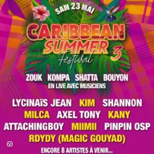 Caribbean Summer Festival&nbsp;&nbsp;3