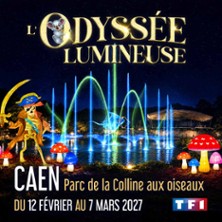 L'Odyssée Lumineuse Caen - Billet Daté
