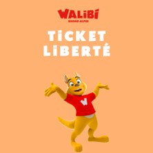 Walibi Rhône-Alpes - Billet Liberté 2026