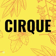 CHANTIERS DE CIRQUE PROGRAMMATION EN COURS...