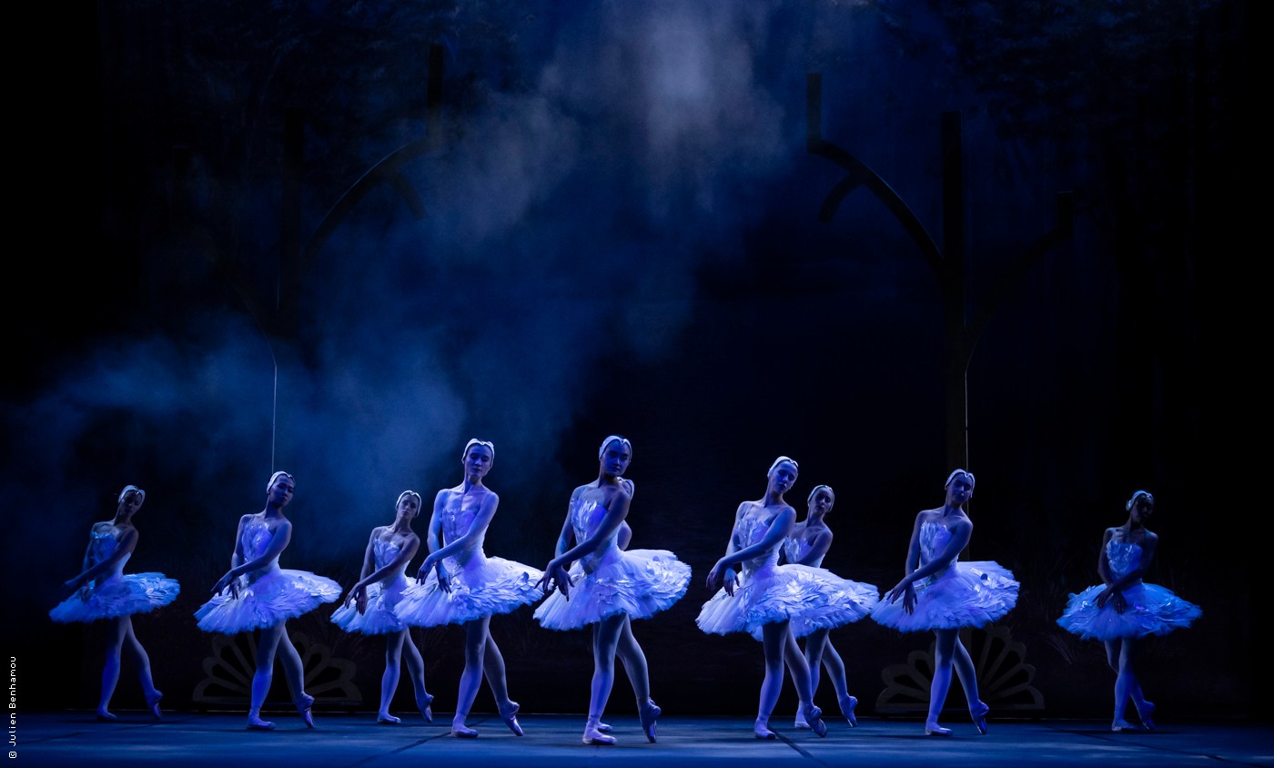 Mon premier Lac des Cygnes