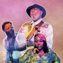 Chicago Blues Festival