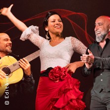 EL AIRE - Flamenco