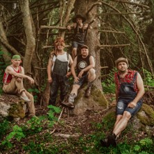 Steve'n'Seagulls