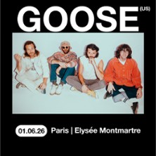 GOOSE