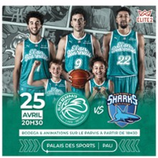 Elan B&eacute;arnais / Antibes Sharks - &Eacute;lite 2