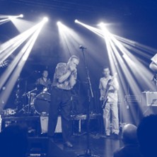 French Blues All Stars