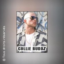 Collie Buddz