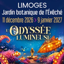 L'Odyssée Lumineuse Limoges - Billet non daté
