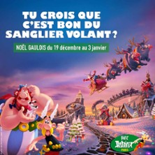 Parc Astérix - Billet Noël