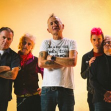 Les Wampas + 1&egrave;re Partie