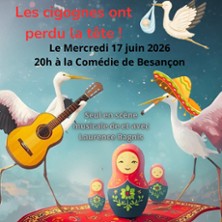 Les cigognes ont perdu la tête