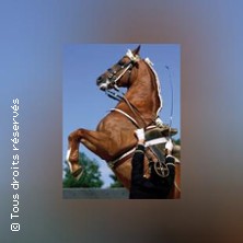 Le Cadre noir de Saumur